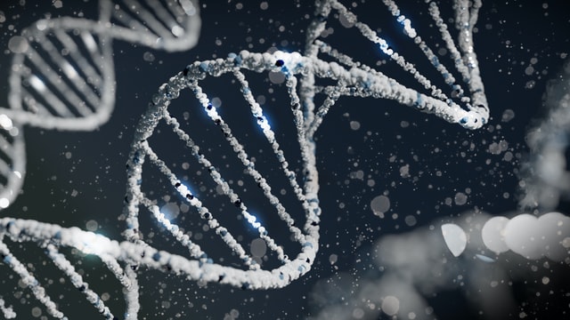 DNA Digital Storage Market Trends, Forecast and Competitive Analysis By 2027