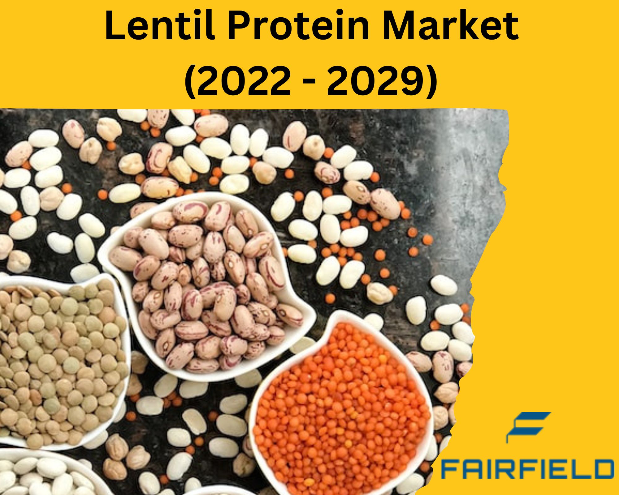 Lentil Protein Market Business Overview, Trends Analysis, and Demand Forecast 2029
