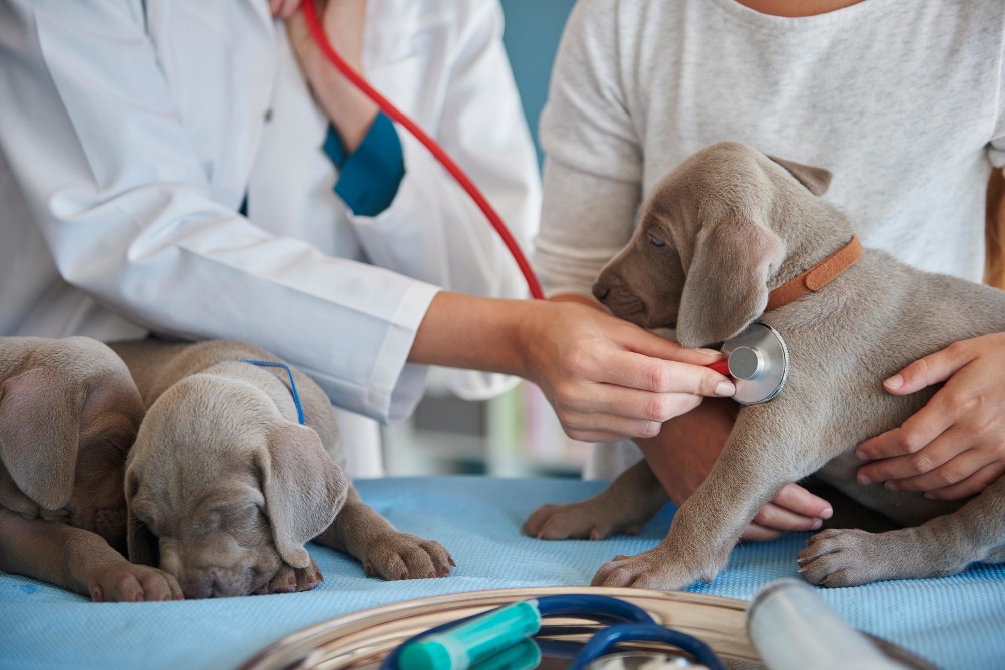 Companion Animal Health Market Market Size, Share and Growth Analysis to 2026