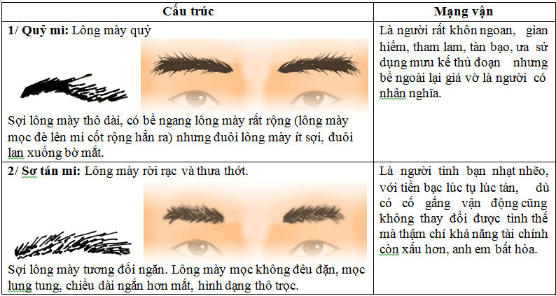 Top 23 dáng lông mày điển hình nhất hiện nay!!!