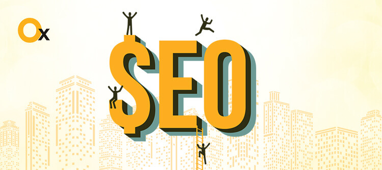 How to Choose the Best SEO Company in Delhi? - iBrandox