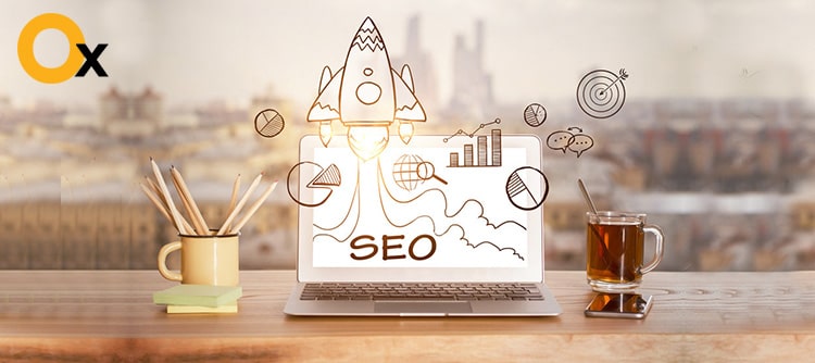 Which is the Best SEO Company in Delhi? - iBrandox