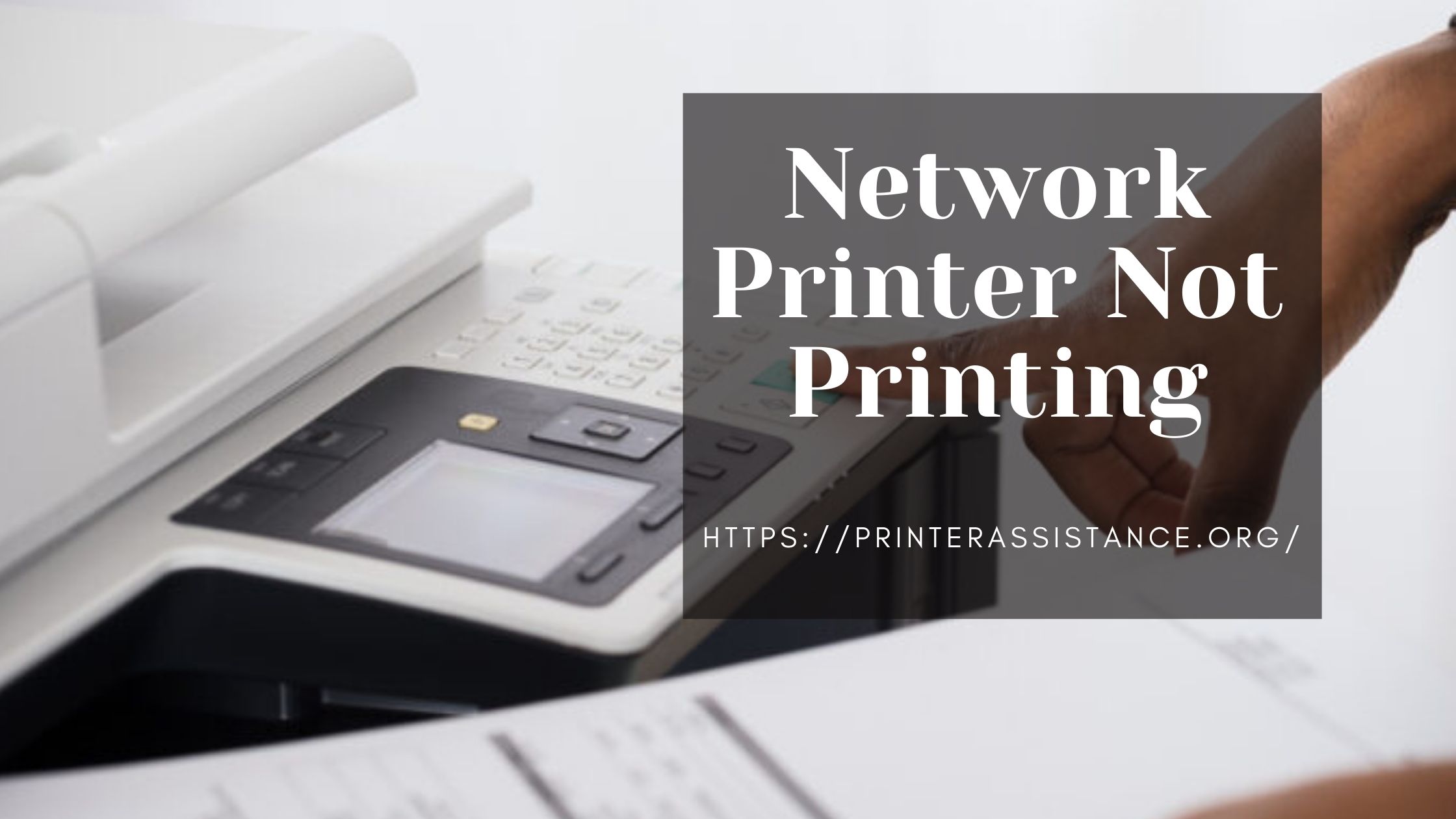 How to Resolve a Network Printer Not Printing Issue?