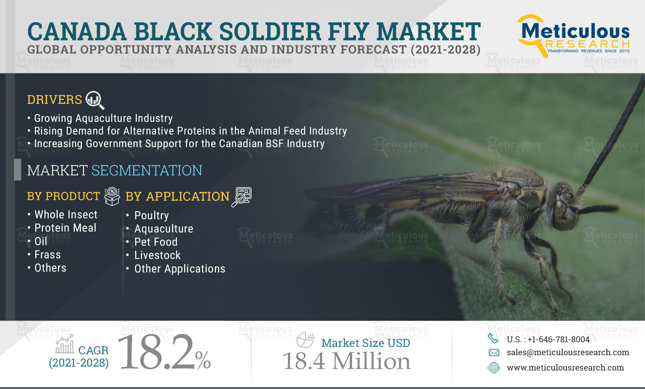 Canada Black Soldier Fly Market - Opportunity Analysis And Industry Forecast (2021-2028)