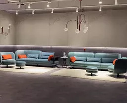 How to Protect your Furniture from Insect Manifestation?
