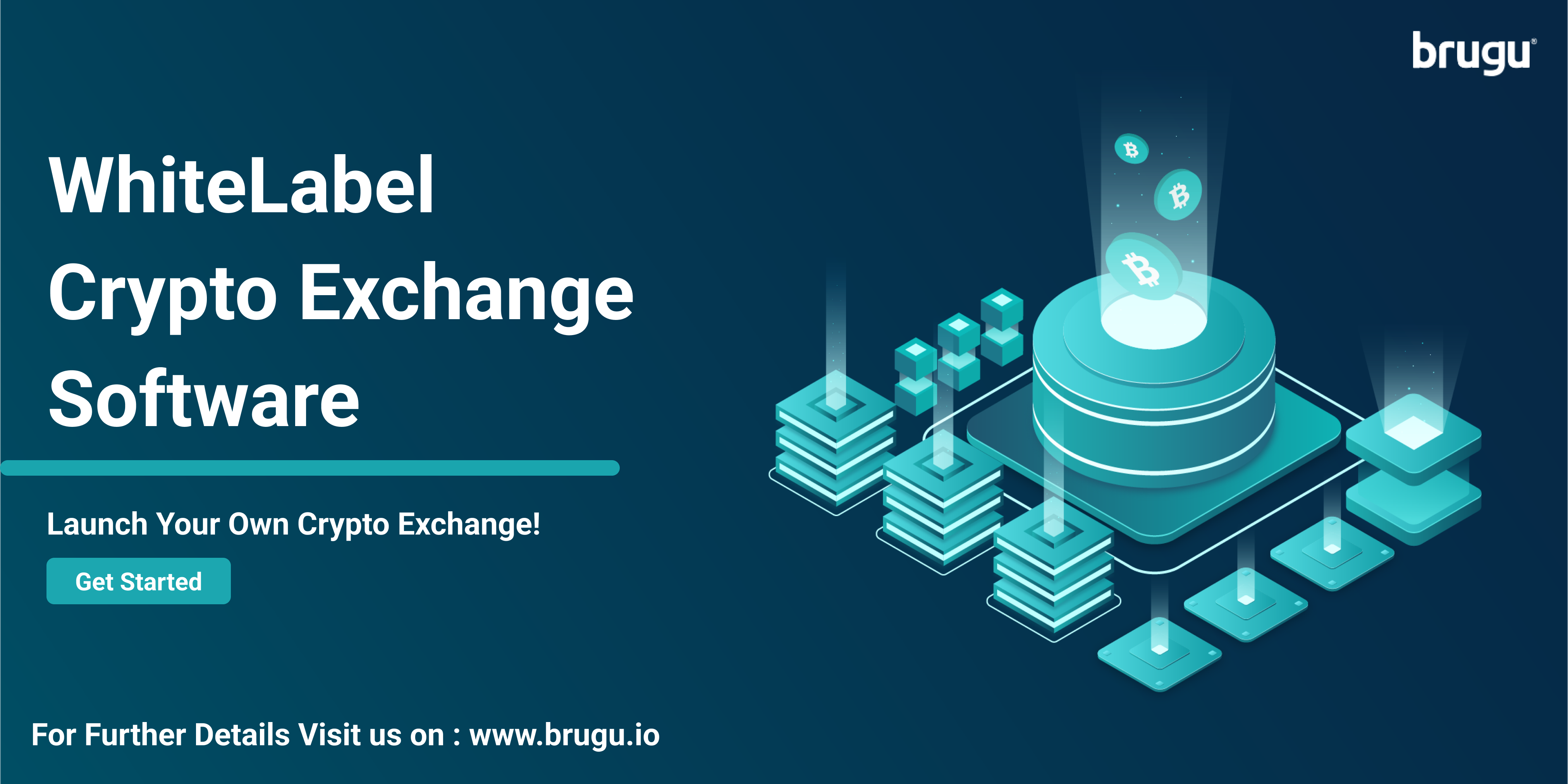 Pick the Best Swap Exchange Platform for your Business