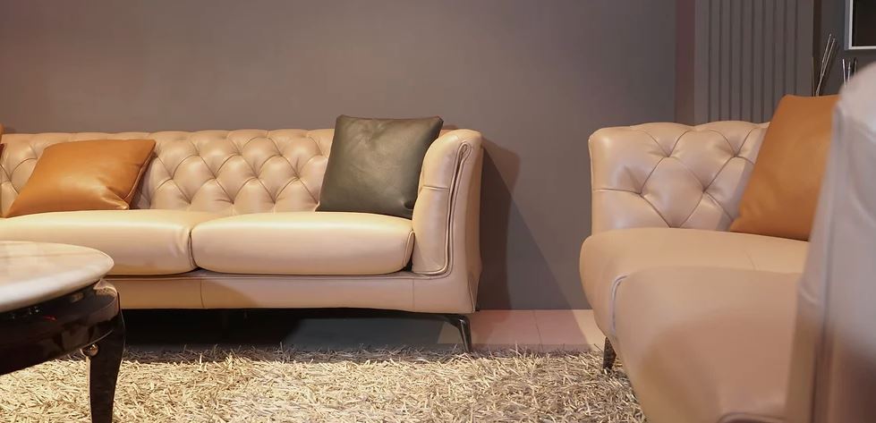Choose the Best Upholstery for Your Plush Sofas from SunandKris
