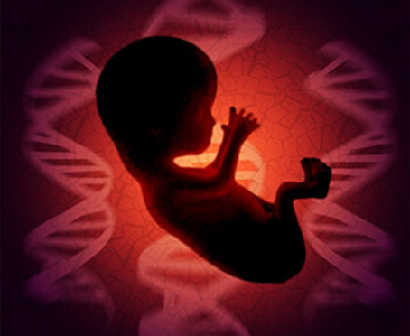 Non-Invasive Prenatal Test - NIPT Maternal Screening Gurgaon