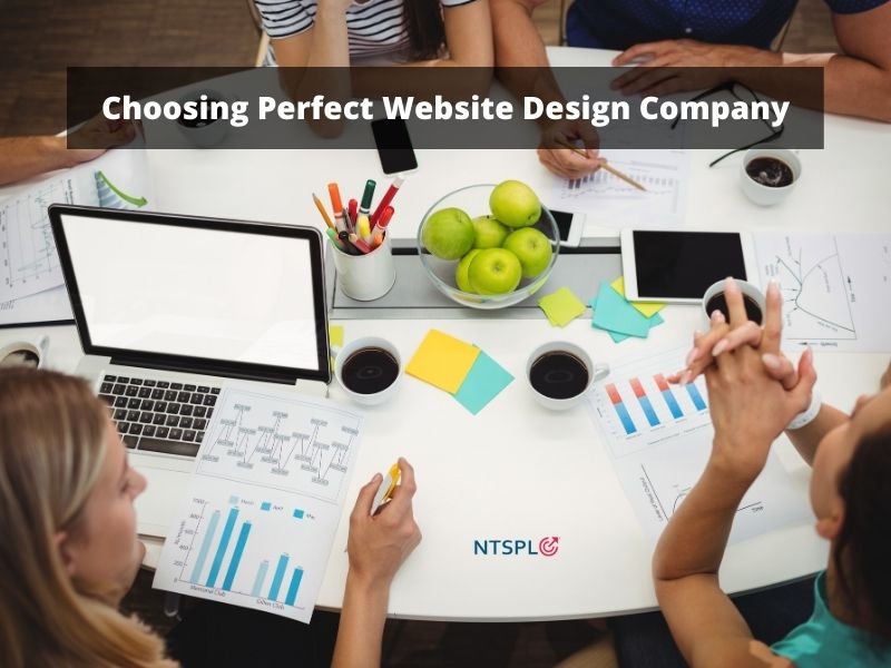 Choosing a Perfect Website Design Company for your Business
