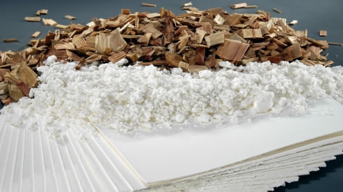 Dissolving Pulp: Tapping into the Growing Demand for Eco-Friendly Fabrics