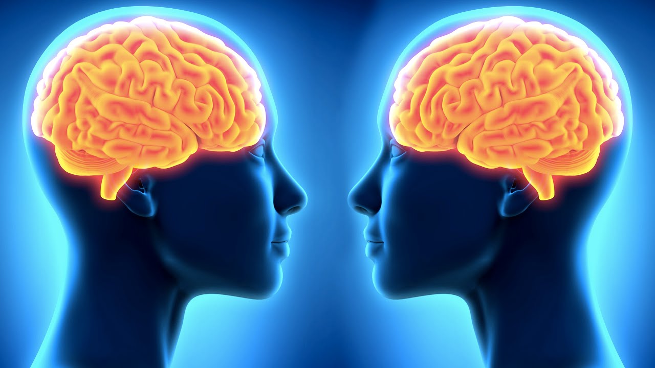 Attention Deficit Hyperactivity Disorder Treatment: Medications, Therapy, and Lifestyle Changes