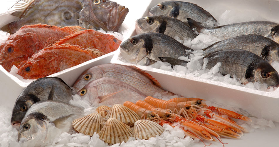 Need for Fresh Seafood Packaging and Fish Products