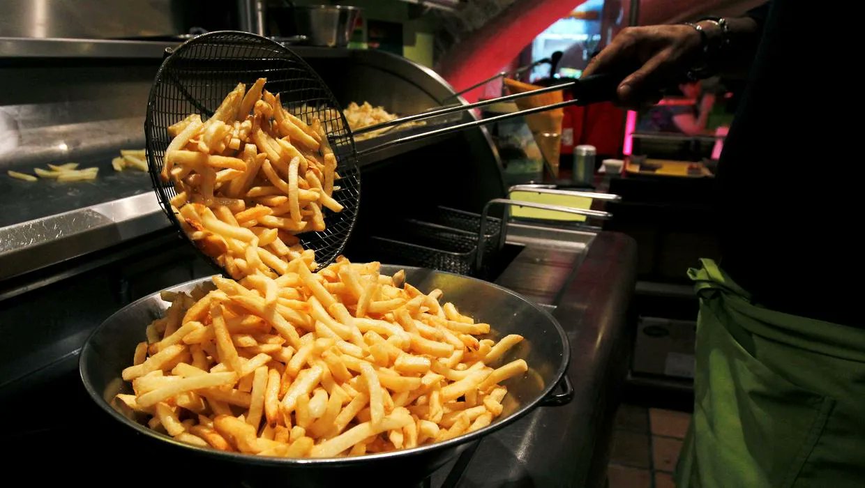 Forecast and Future Outlook of the French Fries Market: Predicting the future growth and opportunities in the French Fries Market