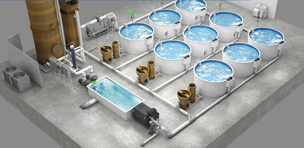 Things to know about Aquaculture Water Treatment Systems and Recirculating Aquaculture Systems