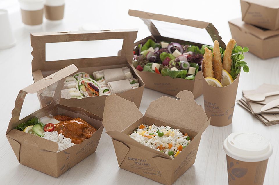 Asean Flexible Packaging Industry and the Shift Towards Biodegradable Materials
