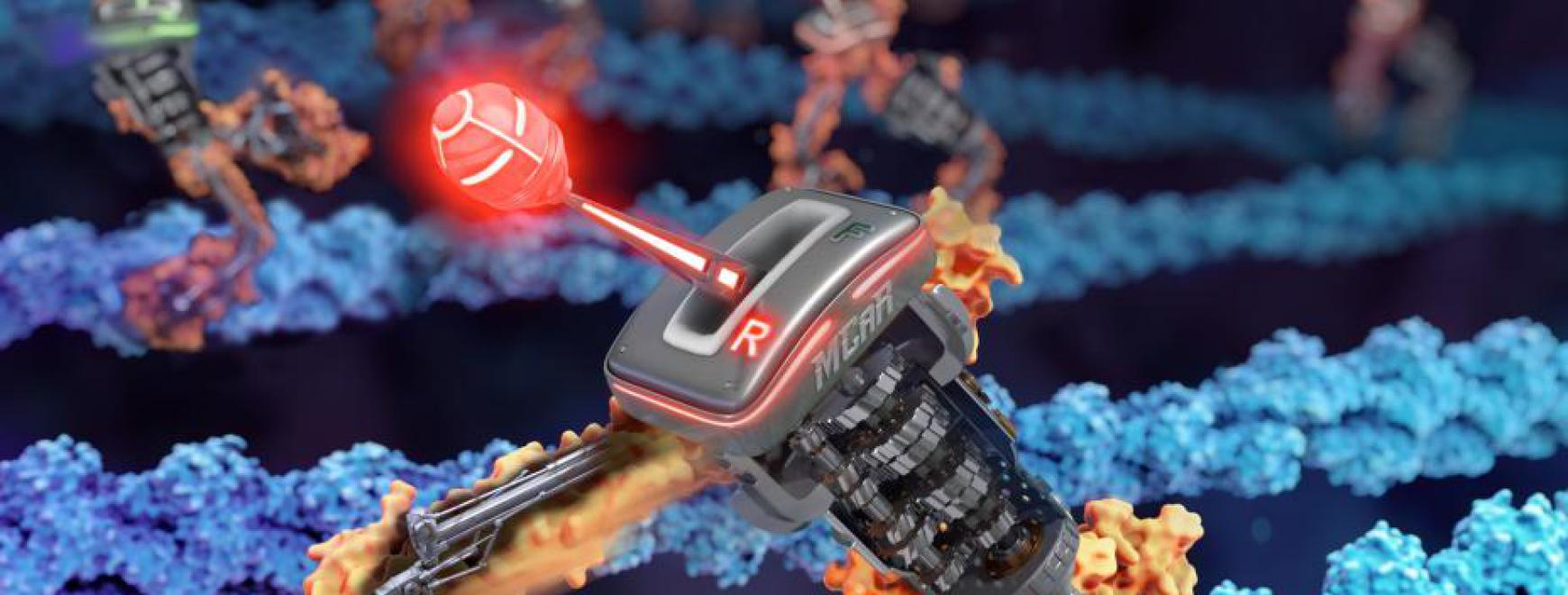 Protein Engineering Market: Growth Drivers and Opportunities