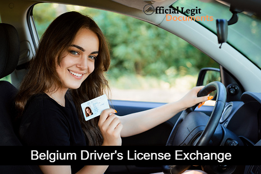 What are the basic requirements for Belgium Driving License?