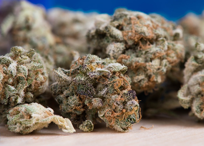 It’s time to say high: Help your customers with WeedMaps app clone