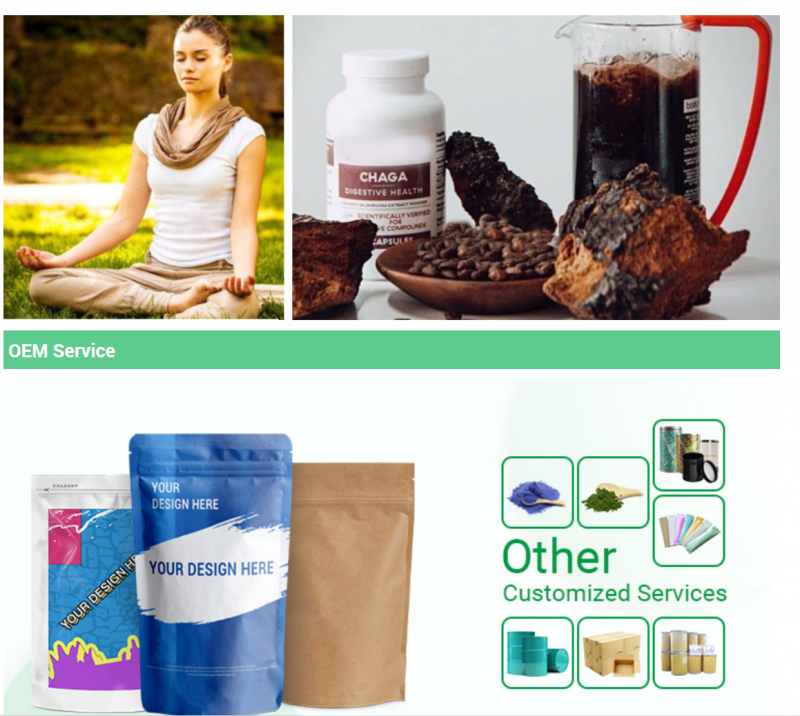Chaga Extract Supplier Showing Encouraging Results in Immune System Stilumation