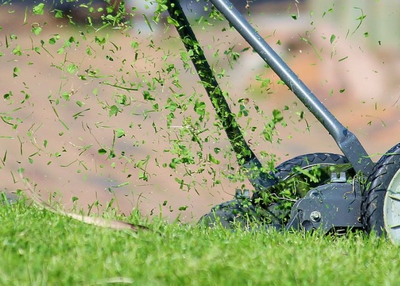 Tools Required in Lawn Care Business