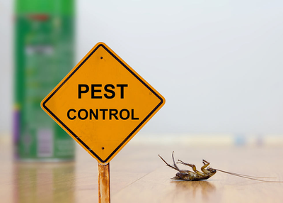 Consistently ahead to finish the Pest: Uber for Pest Control