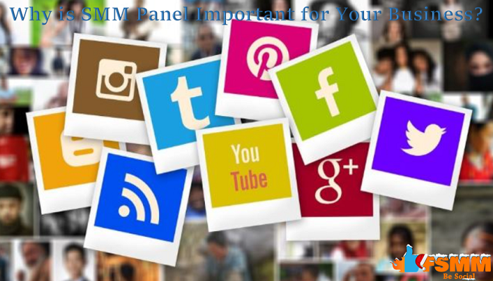 Why is SMM Panel Important for Your Business?