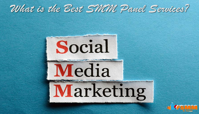 What is the Best SMM Panel Services?