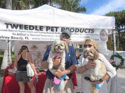 Organic Pet Treats in Miami
