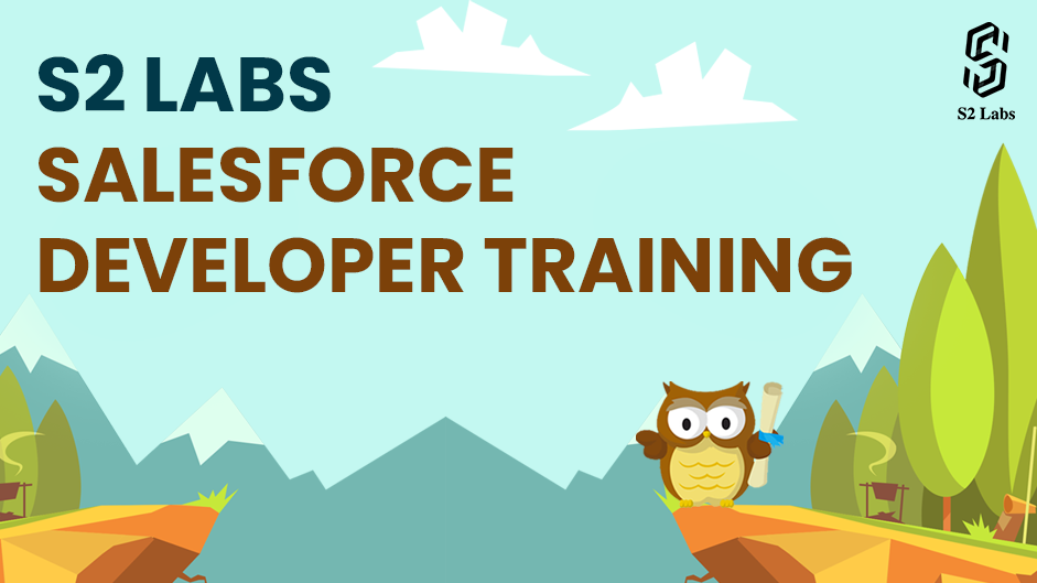 S2 Labs:- Salesforce Development Course