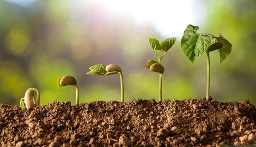 Europe Biostimulants Market 2026: Trends, Growth, Analysis, Outlook and Key Players