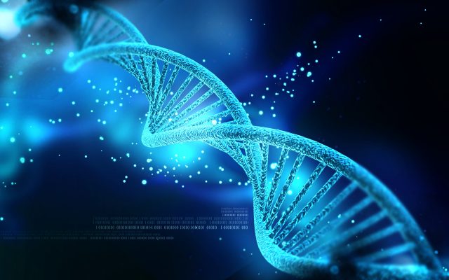 United States Transfection Technologies Market Trends, Growth, Analysis and Forecast 2026