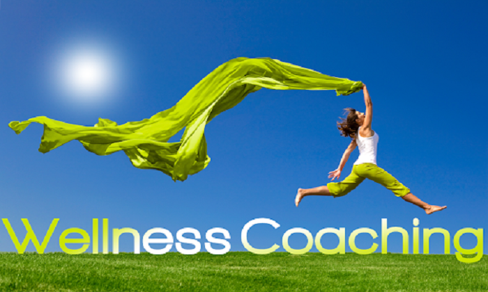 Connect With the Professional Wellness Coach in Falls Church | HECM Wellness