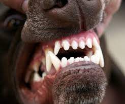 Accident Claims in Menifee