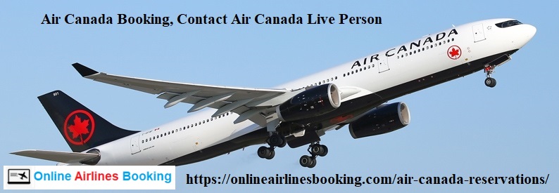 Top Tourist Attractions to Explore in Georgia