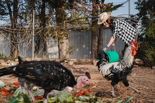 Poultry Feed Market Business Opportunities Ensure to Leading Key Players and Forecast 2027