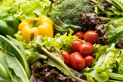 Organic Baby Food Market Worldwide Prospects, Share, Crucial Players, Size & Forecast Period