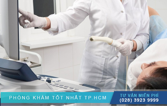 Siêu âm đầu dò là gì