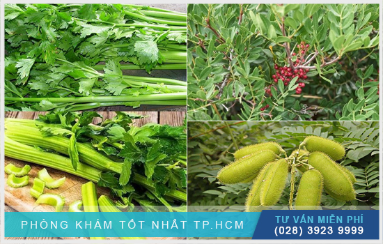 Cây thuốc nam chữa phong thấp