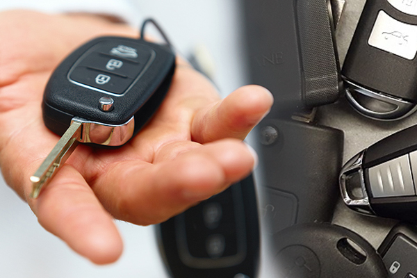 Our Qualified Professionals Provide a Comprehensive Range of Services