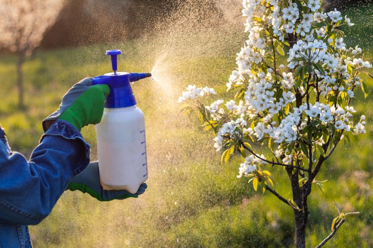 beli pupuk pertanian