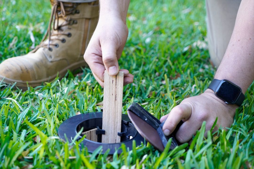 Termite Control in the Home: Frequently Asked Questions