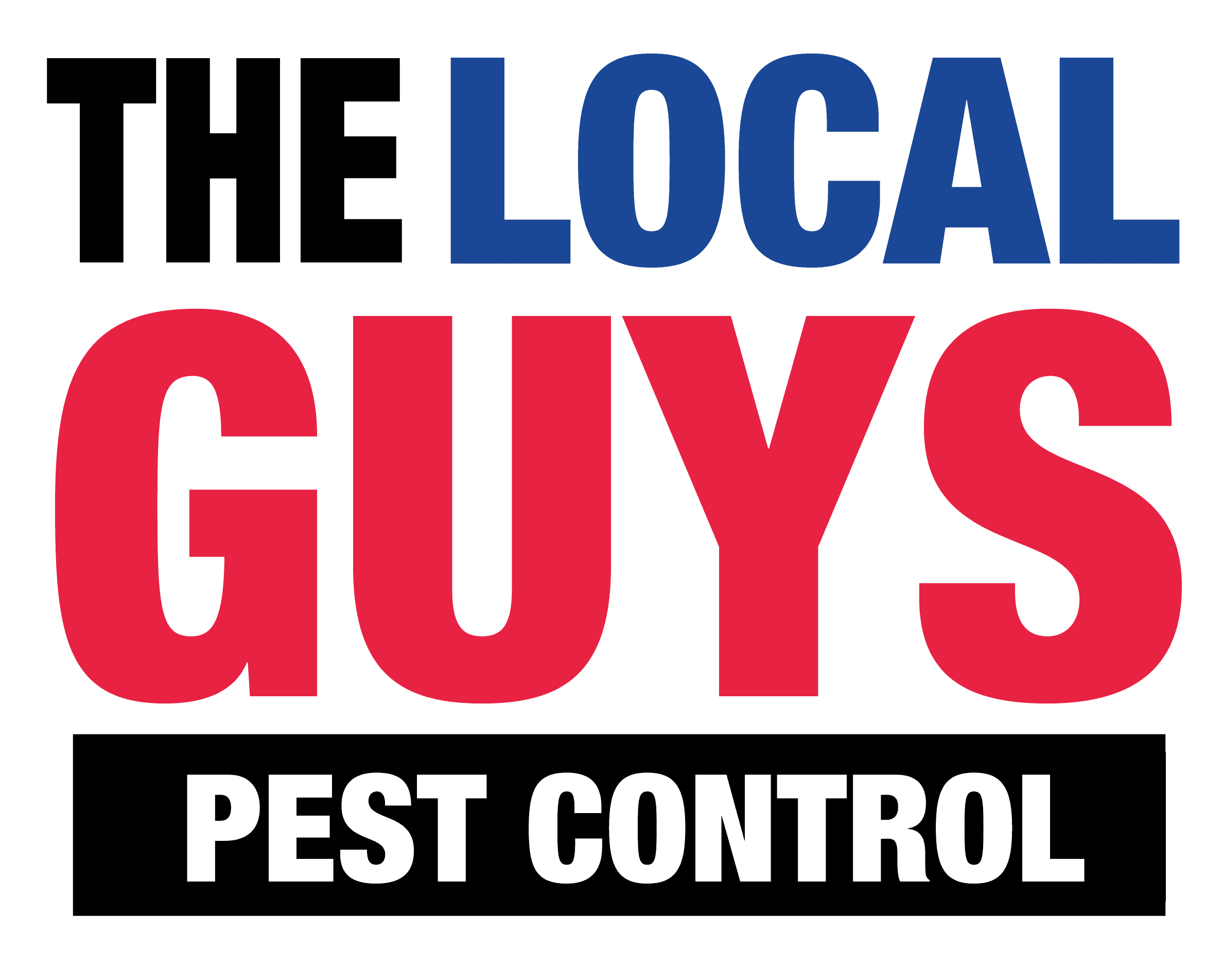 Termite Protection and Killing Techniques