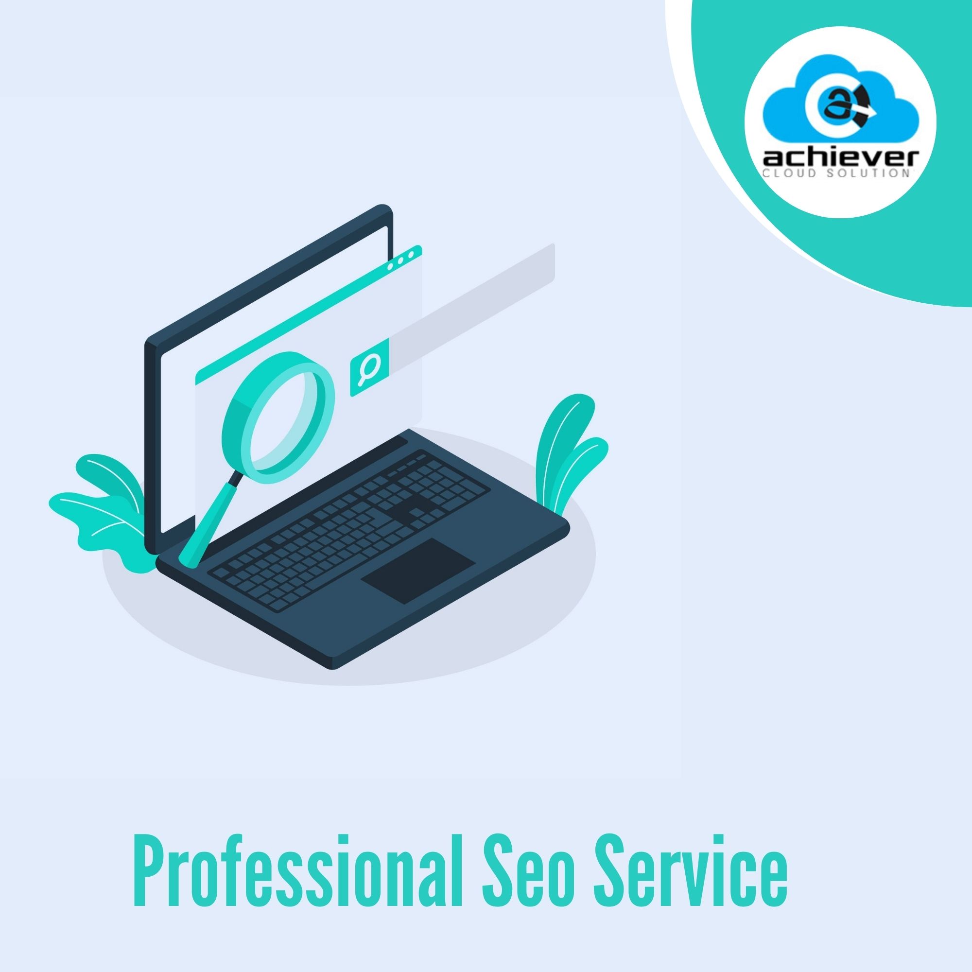 Professional Seo Service
