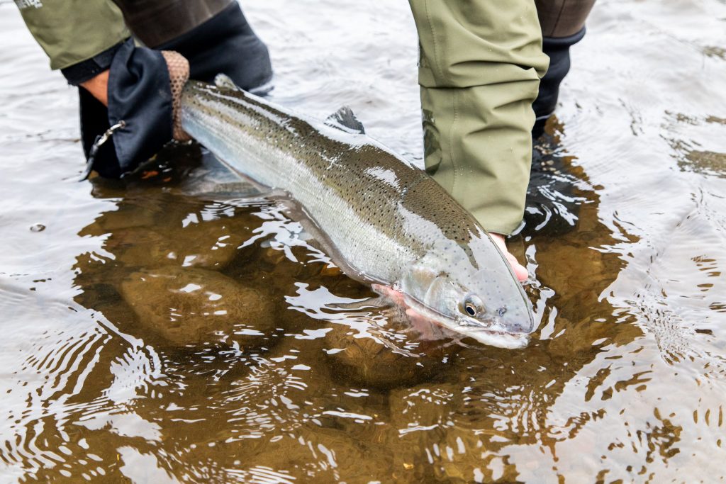 The Best Fishing Reels for Trout, Salmon, and Steelhead