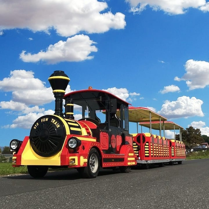 4 Several Types Of Trackless Train Rides Available For Sale