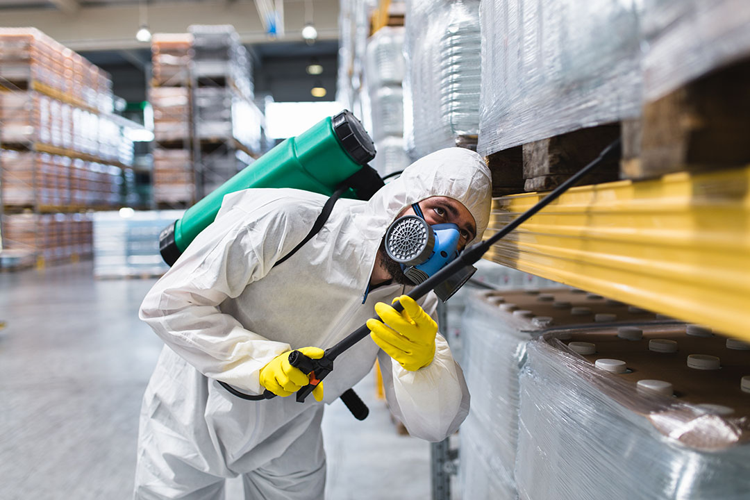 Pest Control Services in Brisbane – Both Reliable and Affordable