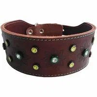 The Top Reasons to Buy a Personalized Leather Dog Collar