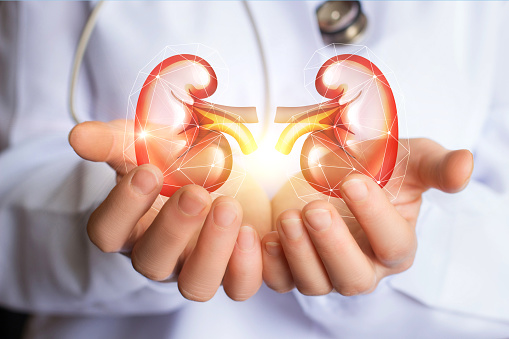Who is a Nephrologist?