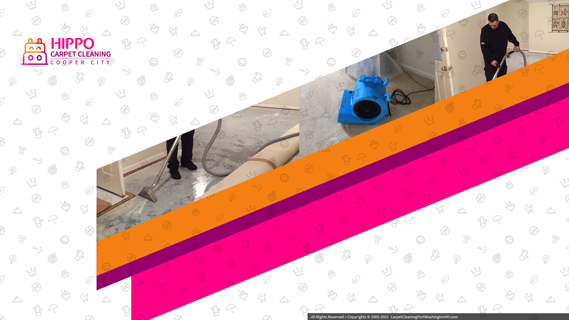 Hippo Carpet Cleaning Cooper City