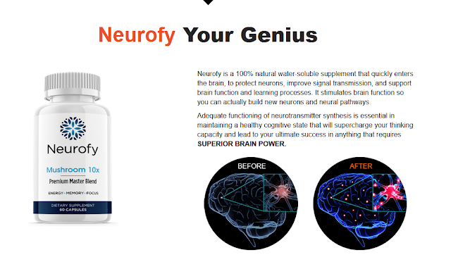 Does Working Fundamental Of Neurofy Cognitive Enhancer?